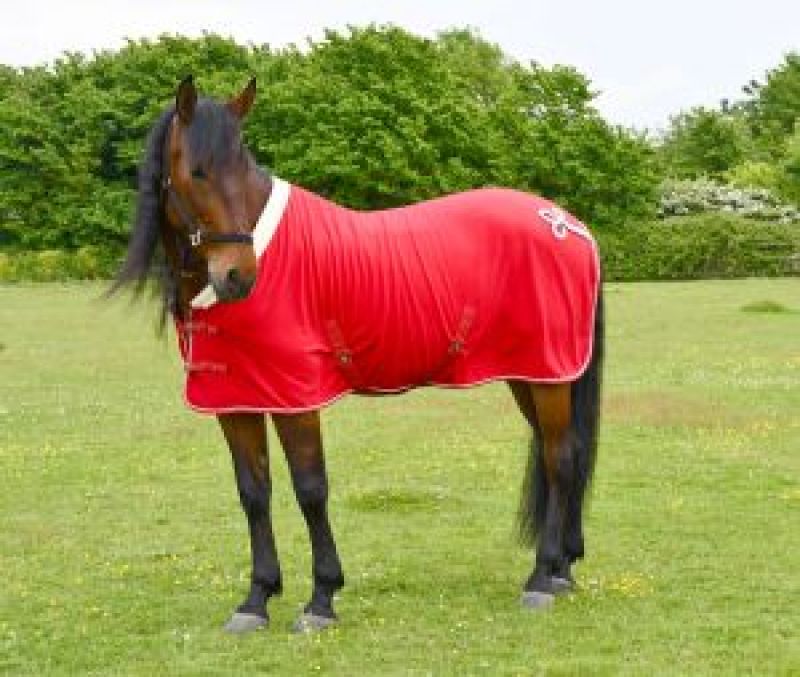 Personalised Show Fleece Rug