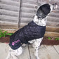 Personalised Quilted Dog Coat