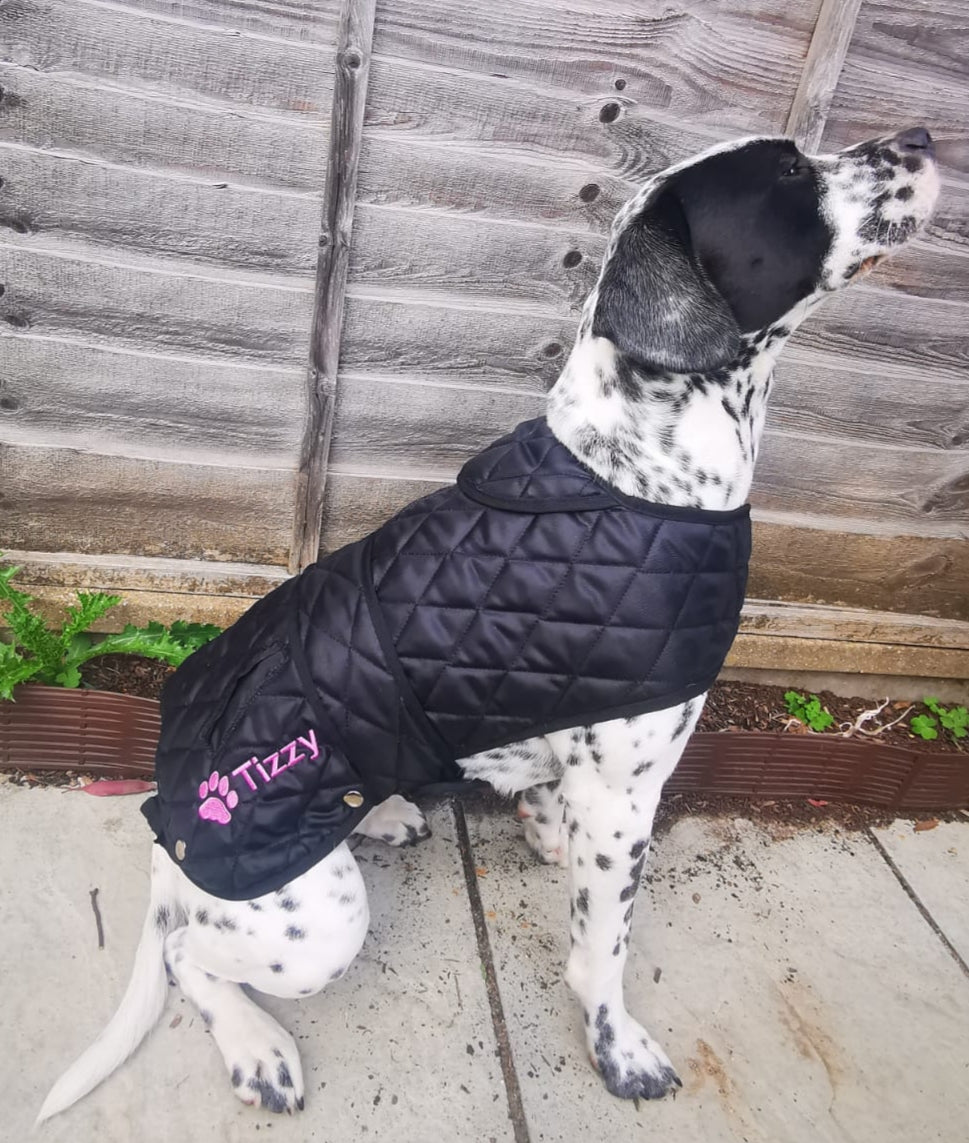 Personalised Quilted Dog Coat