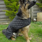 Personalised Quilted Dog Coat